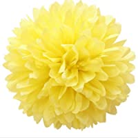 JZK 10 Flores de papel pompones 25 cm decoraciones pom pom- pon pon- pom pon- pompom- ponpon- pompon para cumpleaños…